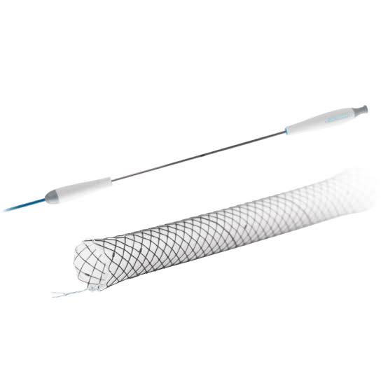 Biliary metallic stent